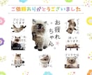 スマホ写真ＯＫ♪フォトLINEスタンプ作成します フォルダに眠っているお写真を変身！プレゼントにもオススメです イメージ7