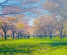 20代新社会人♪とにかくあなたに寄り添います 雑談・愚痴・相談事、とにかくなんでも来い！全部受け止めます！ イメージ5