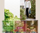 LINEリッチメニュー、リッチメッセージ作成します テンプレを活用してやすく、はやく イメージ2