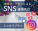現役マーケターがアカウント運営します ＼初回出品割引／数字を追って成果をしっかりと出して行きます イメージ2