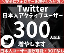 Twitter 日本人フォロワー300人増加します X・旧Twitter 日本人フォロワー300人以上増やします イメージ1