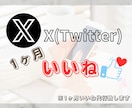 X（Twitter)『1ヶ月』運用致します ！アクション運用サポート！完全手動で行います！ イメージ1