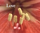 チラシ・リーフレット作成します お気に入りいただくまで徹底的にデザインを追求します。 イメージ7