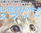 ペットヒーリング気功で元気回復を促します プロペットヒーラーの高レベルのヒーリングが受けられます。 イメージ2