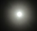 あなたの心支えます 恋愛や相談だけでなく、今日あった出来事などもお話しよう イメージ1