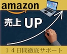 Amazon販売★14日間コンサルします 売れ筋商品を⚪︎⚪︎本見つけるお手伝いをします！！ イメージ1