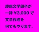 3,000円で慶應文学部卒が全ての文章を書きます 文章を必要とするる全ての人へ。素早く綺麗に何でも書きます。 イメージ1