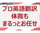 プロがホームページを英語翻訳（4円～/文字）します グローバルビジネス歴15年のプロ翻訳（上場企業と取引有） イメージ1