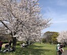 Excelの関数を使って作業の効率化を致します 関数ならお任せ！！毎日の作業を時短化します！ イメージ1