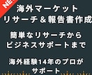 海外マーケットリサーチ＆レポート作成サポートします 海外市場のチャンスを探り、14年の経験で成功をサポートします イメージ1