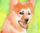 可愛いウチの子を描きます 5000円で額縁に入れて飾ることができます。 イメージ1