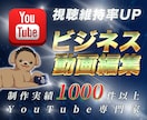 ビジネスYouTube動画。丸投げでも対応いたます 1本 3000円から編集いたします!! イメージ1