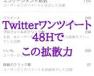 Twitter/拡散/宣伝/集客/致します 拡散宣伝集客ならお任せ！Twitterで10万人にお届け！ イメージ4