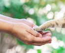 当てる！ではなくこの先のヒントになる鑑定します 4ページ分の鑑定で未来へ道案内！手相を知る事が強みを知る近道 イメージ9