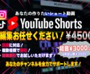 スワイプさせないSNS向けショート動画を編集します 初回限定割引！3回まで修正無料！ イメージ1