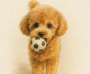 あなたの、かわいいペットをイラストにします 8月限定価格！追加オプションで「インテリア」にも！！ イメージ1
