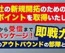BtoB向けインサイドセールスお受けします 新サービスをテレマで反応を見てもらいたい、などなど！ イメージ1