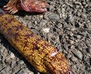これから釣りを始める方へ釣りの基本を教えます 釣り歴８年が釣りの基本 基礎知識 やり方等を教えます。 イメージ9