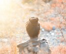 観音霊気:隠れている本当の自分を視ます 客観的に自分を見れていますか？感情の動きに気づいていますか イメージ3