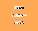 TikTokフォロワー1000人増やします ⭐高品質⭐フォロワーが増えるよう拡散します！ イメージ1