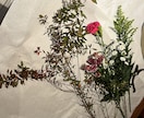 生け花のレッスンがオンラインでできます 生け花でお部屋を明るく飾りましょう イメージ3