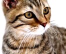 デジタルでリアルな絵を描かせて頂きます ご自身の似顔絵、お飼いになっているペットなど イメージ1