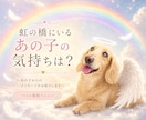 虹の橋にいるあの子の想いを受け取ります 言えなかった言葉を、やさしく届けましょう イメージ1