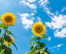 何でもOK！　お話し相手になります 何だかスッキリしない方、不安に思っている事　など イメージ1