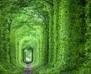5分からOK！やりきれない気持ち聞きます 辛い時、寂しい時、あなたの心に優しく寄り添います イメージ6