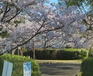 福祉に関わって20年＊ちょっとした話も伺います 勿論！短くてもあなたのお話をじっくり、しっかり伺います＊ イメージ3