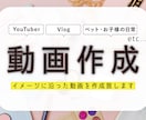 イメージに合わせた繋ぎ、テロップ入れ行います イメージや参考動画に寄せた簡単な動画編集を請け負います。 イメージ1