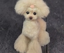 大切な愛犬さんをお作りします うちのコ羊毛フェルトワンコオーダー イメージ2