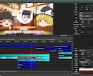 ずんだもん/ゆっくり解説のYMM4使い方教えます プラチナ動画編集者のゆっくりムービーメーカー4使用術 イメージ5