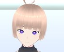 配信などに使える安く良質な3Dモデルを提供します はやくて1日で届く安くて良質なバーチャル3Dモデル！ イメージ5