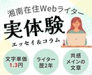 実体験エッセイ＆コラム書きます 共感メイン/20代/仕事/休職/推し活/旅行/セルフラブなど イメージ1
