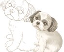 うちの子塗り絵お描きします ペットなどのお好きな動物を自分色で彩ってみませんか イメージ6
