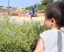 頑張っている保育士さんの悩みを一緒に解決します 人間関係や製作、書類、計画…いつもお疲れ様です♡ イメージ2