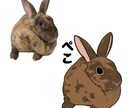 うさぎのイラスト描きます SNSアイコンなどにご使用ください♩ イメージ5