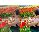 お気に入りの写真をさらに良くします お気に入りの１枚を美しく仕上げます。 イメージ1