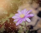 未来のあなたからの手紙をお届けします 未来のあなたが「大丈夫」と抱きしめる イメージ2