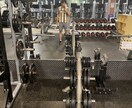 初心者向け、自宅トレーニングをお教えします まずは、1ヶ月継続してみよう！！！！ イメージ1