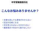 中学受験国語｜偏差値20〜40台を伸ばします 読解・記述・文法を基礎から整理します イメージ2