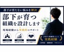 人材育成の仕組みを設計します 2年半で取締役になった実践経験を提供 イメージ1