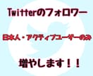 Twitterの日本人フォロワー200~増やします 全てアクティブユーザー★最速1時間で完了 イメージ1