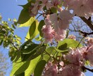 あなたの心の中の石ころを出させます とにかく聴きます！話してすっきりしませんか？？ イメージ1