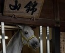 継承した霊能力！人生全般の霊視鑑定します ココナラ出店記念価格好評につき7月18日まで。 イメージ3