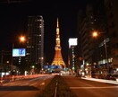 東京都内のオリジナル観光プランを提案します 現役ボランティアガイドがあなたの要望にお応えします！ イメージ1