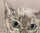 可愛いペット似顔絵描きます 猫ちゃんの思い出の1枚を残しませんか イメージ4