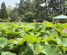 介護職の心も、大切！どんな話も承ります 安心して話せる場所。経験者だからこそ、あなたに寄り添います。 イメージ2