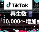 TikiTok再生数 1万以上増加させます TikTokのプロが動画再生数を宣伝で増加♪ イメージ1